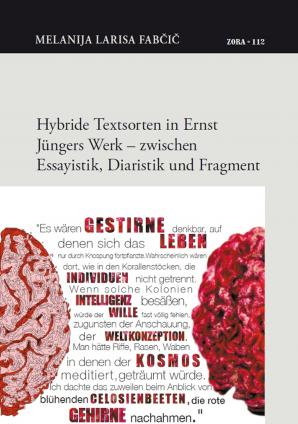 Naslovnica za Hybride Textsorten in Ernst Jüngers Werk – zwischen Essayistik, Diaristik und Fragment